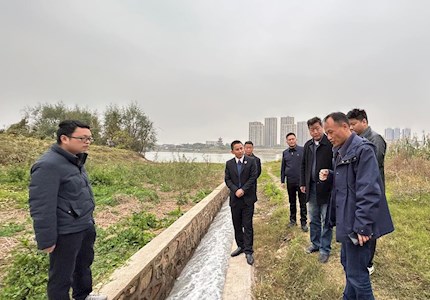 街道联合工作组开展改善生态环境 专项民主监督活动