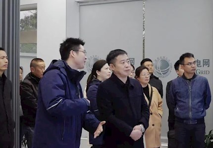 经济科技工作组开展“走进电力”小组调研活动