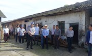 市政协主席会议视察毛里湖周边畜禽退养工作