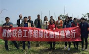 津市政协联合工作组绿化植树湿地行志愿服务
