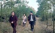 工商财贸组开展第四季度小组活动