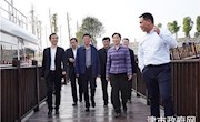 李微微率省政协主席会议成员来津视察 毛里湖综合整治