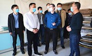 市领导调度政协常委会建议案