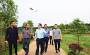 市政协主席会议视察农村屋场建设