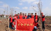 市政协机关干部参加义务植树活动