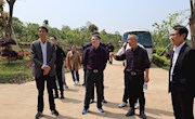 市政协主席会议视察我市全域旅游工作