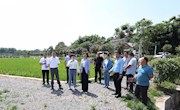 常德市政协来津开展“稳定粮食播种面积”专项监督调研