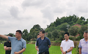 市政协街道联合工作组开展乡村振兴调研活动