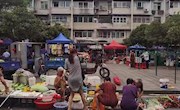 一条社情民意解决零担市场乱象 让群众买菜更舒心