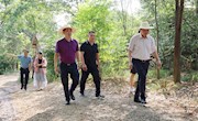 市政协开展抗旱工作