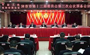 政协津市市第十三届委员会第三次会议举行大会预备会议