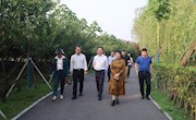 市政协赴安乡开展考察学习交流活动