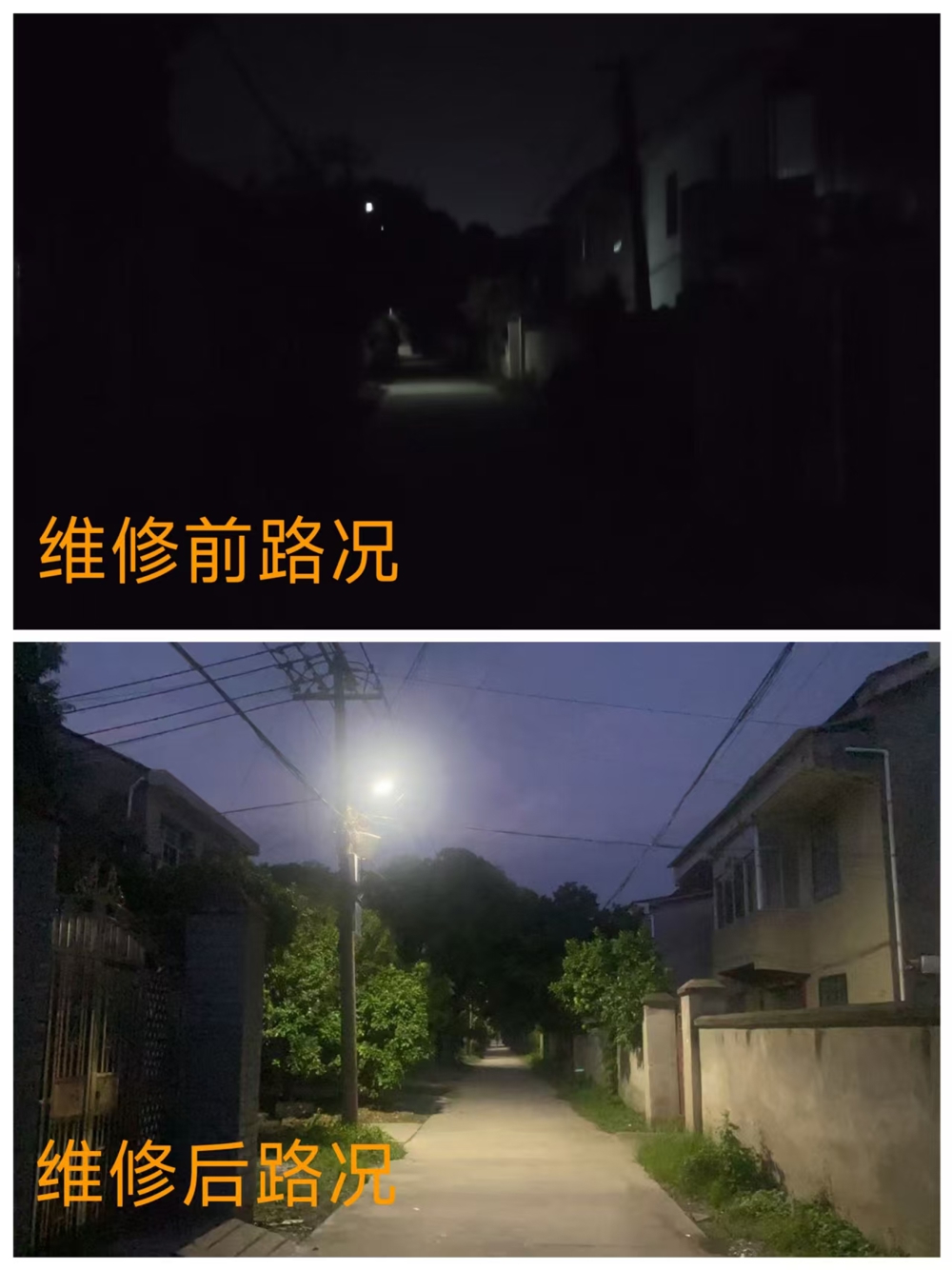对比照