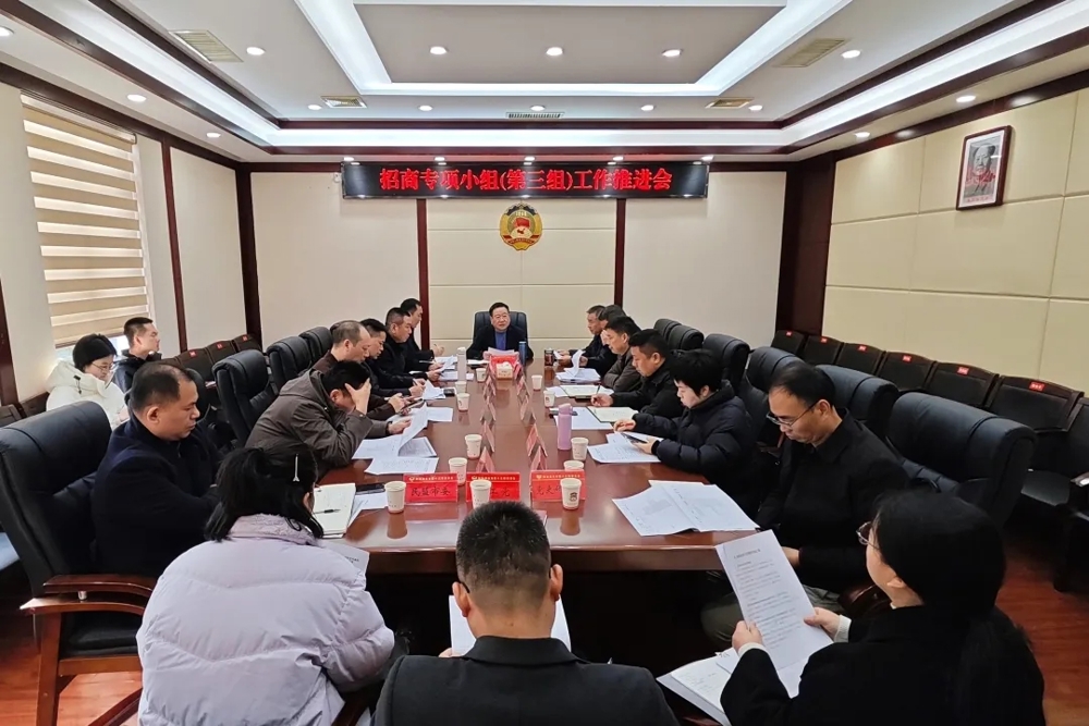 津市市第三招商专项小组工作推进会召开