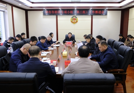 李景峰主持召开津市市招商专项小组（第三组）工作推进会